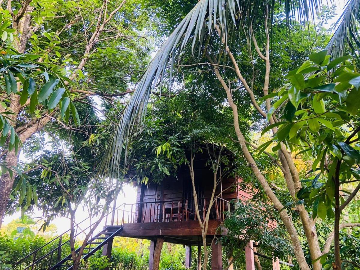 Sigiri Charuka Resort Sigiriya Exterior photo